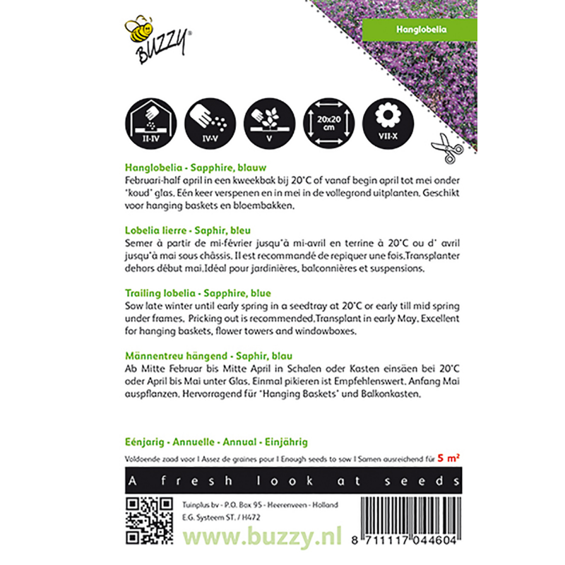 Buzzy® Trailing Lobelia Sapphire